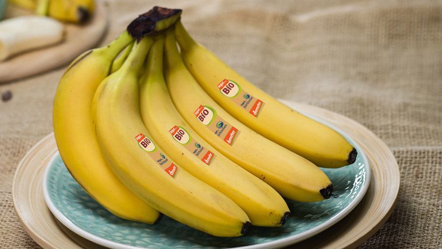 tegut… fairbindet Bio-Bananen